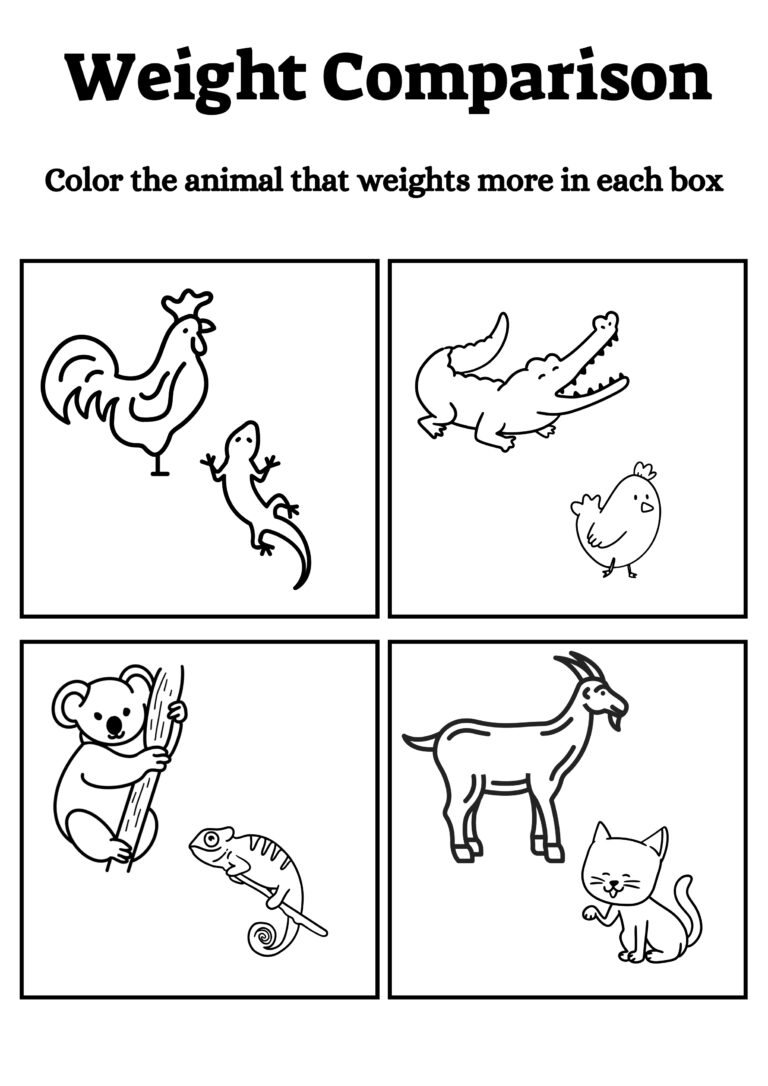 A4 COMPARISON WORKSHEETS